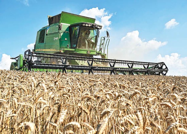 俄叫停黑海穀物協議 小麥玉米齊漲價