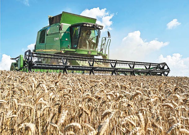 商品分析：農產品期貨開展短線反彈
