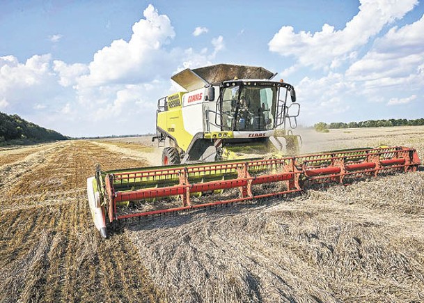 近日小麥的預期產量因美國旱情而下跌，帶動價格上揚。