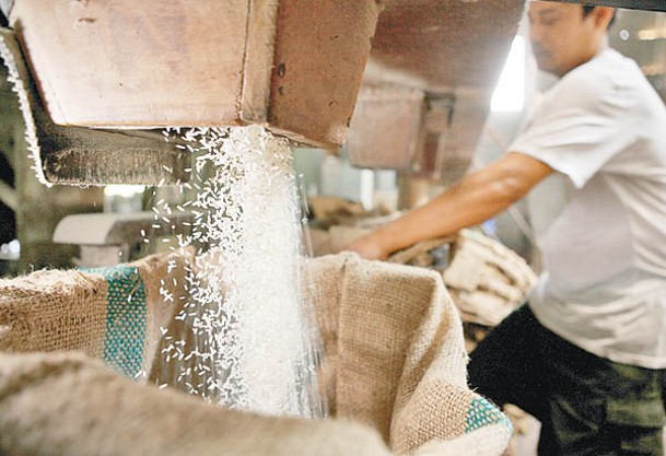 泰國降雨大減，勢重創水稻產量。
