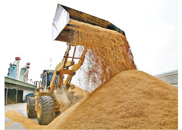 稻米價格高企，亞洲陷入糧食危機的機率大幅飆升。