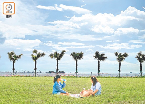 棕櫚樹前一大片草地，旁邊又有一望無際海景，在此野餐聊天，是否以為身在異地？