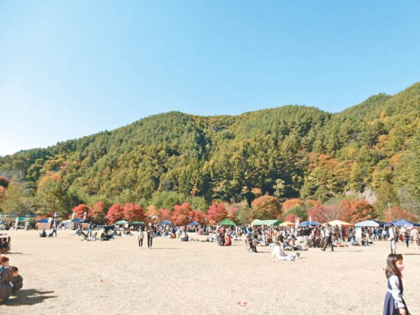 雖然今年沒有「箕輪紅葉湖Festival」，但紅葉隧道附近還是會有售賣當地農產品及手信的檔攤。