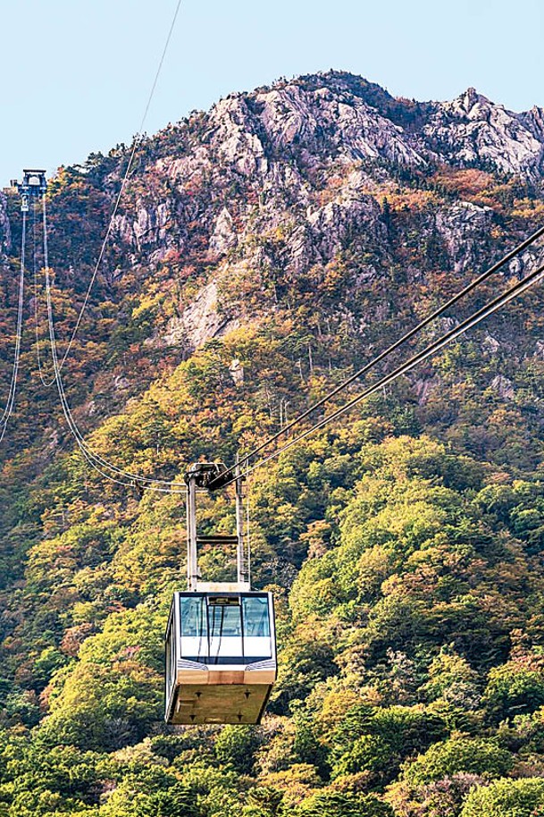 乘搭雪嶽山纜車，可不費吹灰之力欣賞遍山紅葉景色。