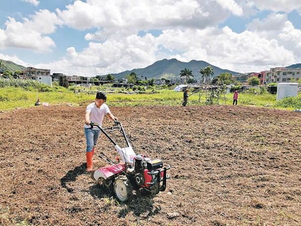 香港很難找到專業的農夫，Tom和拍檔決定自行開墾，摸索機器的運作。