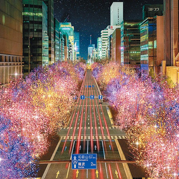 「御堂筋彩燈節」期間由梅田至難波街道兩旁的大樹都掛滿絢麗LED燈裝飾。