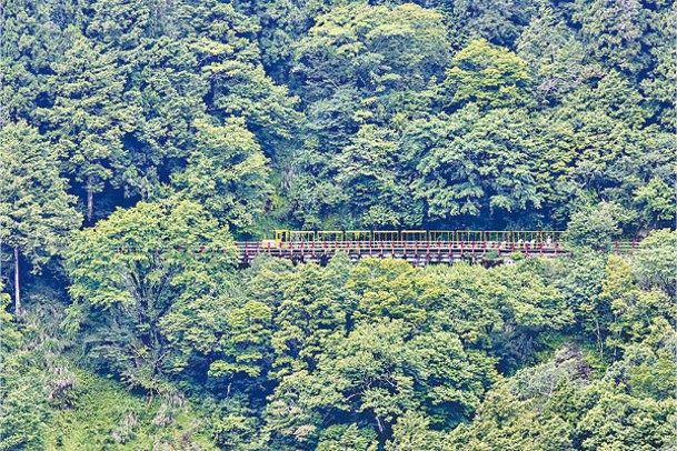 全長3公里的蹦蹦車鐵道，沿途風景秀麗山巒疊翠。