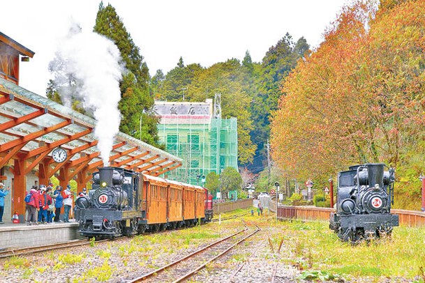 乘搭於12月推出的「SL-31蒸汽火車．楓華絕代」主題列車，可欣賞全台唯一高山鐵道楓紅之美。