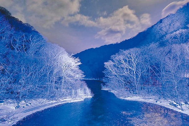 子之口是溪流的上游部分，兩邊樹木均被白雪覆蓋，加上紫色燈光十分夢幻。