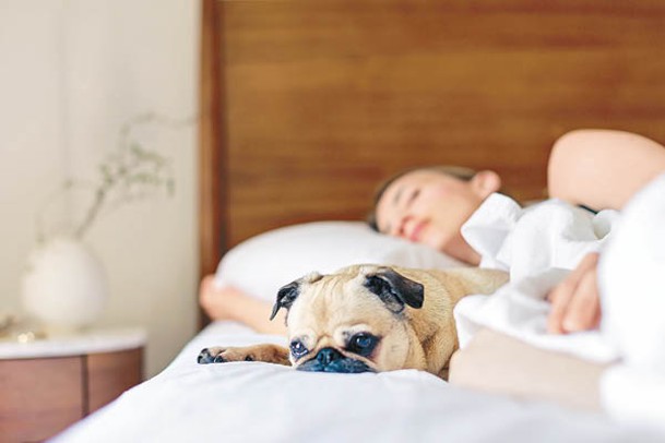 方醫生認為把睡房布置成一個安全舒適的環境，並隔絕燈光、噪音等干擾，會更易放鬆入睡。