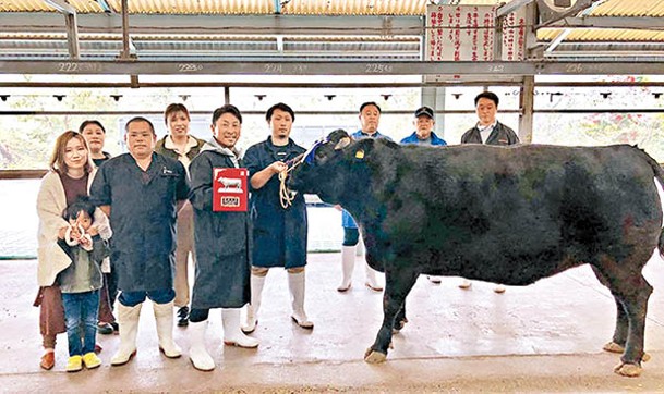 來自鹿兒島的新村和牛，曾在「日本全國和牛大賽」中獲至高榮譽大獎。