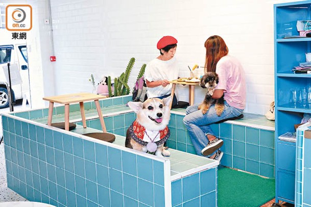 門口的韓國澡堂浴池，歡迎和狗仔一齊「沖涼」。