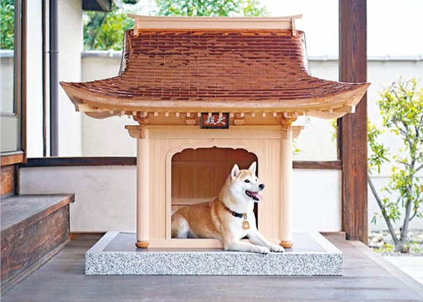 售價逾百萬港元的「犬殿」，慢工出細價，一年只建造一間！