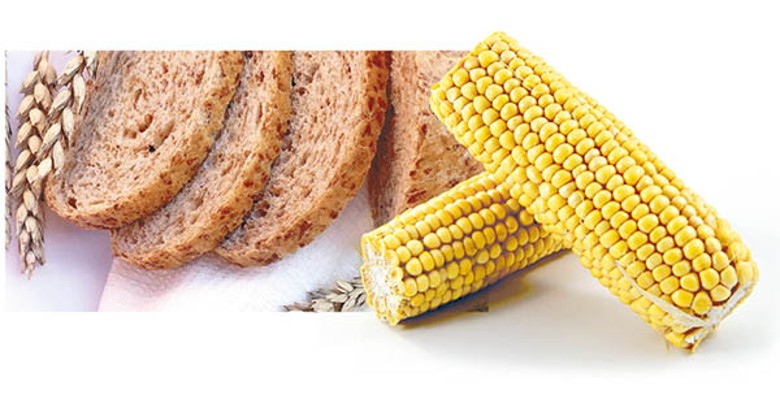 澱粉質方面，可選擇燕麥、全麥包、糙米、粟米、番薯等含豐富纖維的複合碳水化合物。
