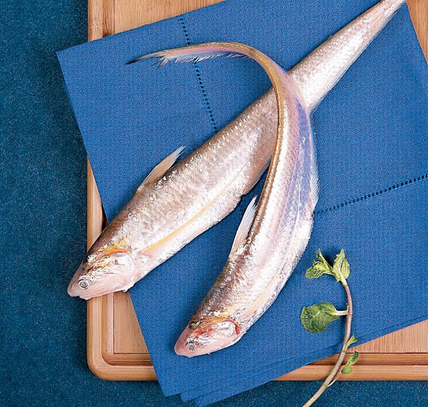 長江刀魚