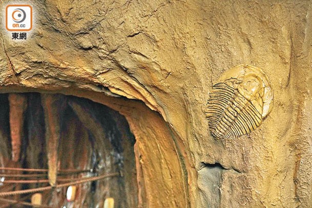 牆上飾有化石圖案，讓人恍如置身野外古老洞穴。