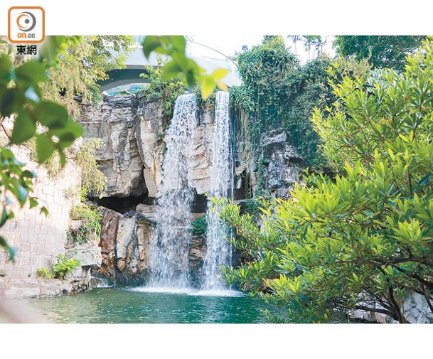 這一條瀑布，是整個公園及餐廳引人注目的焦點。
