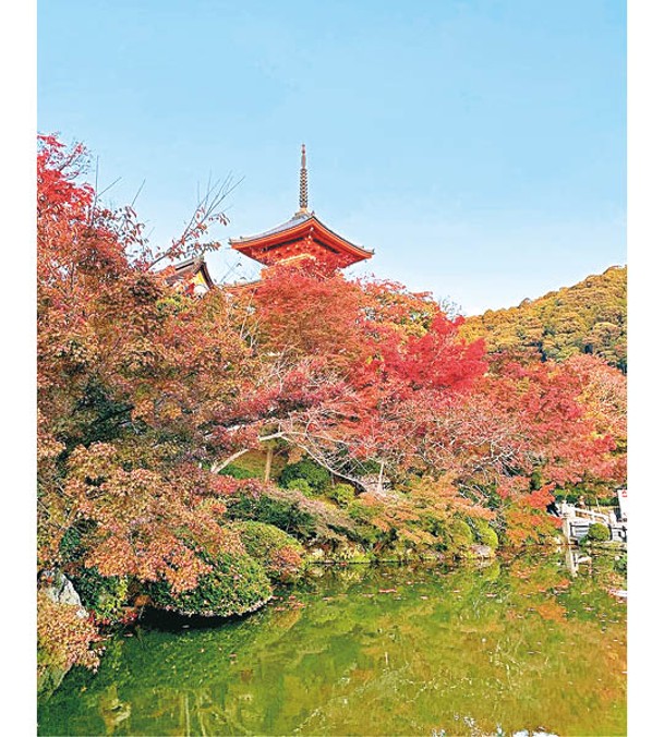 清水寺的三重塔被紅葉重重圍住。