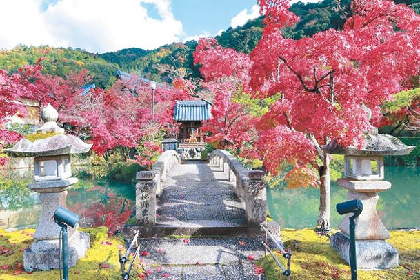紅葉遍布於永觀堂禪林寺的池泉回遊式庭園周邊。