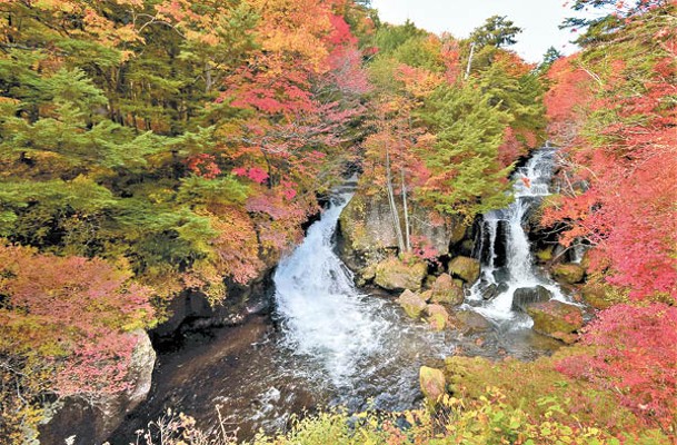 龍頭瀑布可以欣賞到滿山紅黃綠色的瀑布美景。