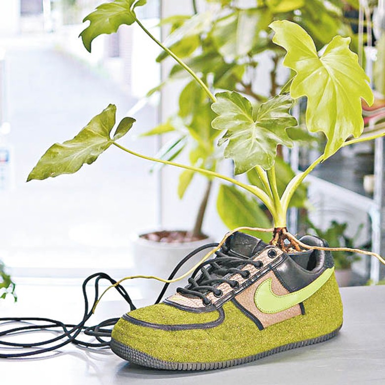 圖中的葉觀植物波鞋盆栽用上NIKE AIR FORCE 1 LOW × UNDEFEATED 「INSIDEOUT PRIORITY」2006作設計。