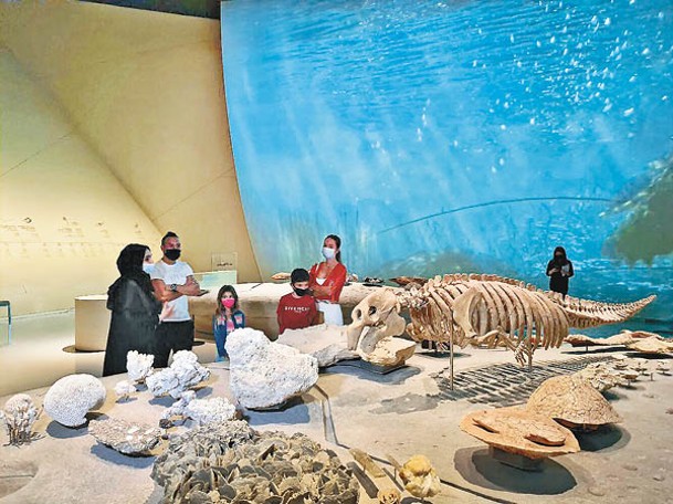 「卡塔爾的起源」展廳展示了該地區遠古7個不同紀元的植物和動物化石，並有互動展覽，可深入探索卡塔爾半島的複雜地質。