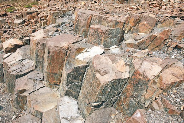 有別於世界各地的深灰色玄武岩，本地的流紋質六角形火山岩柱富含硅質，顏色較淺。