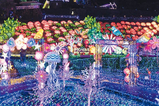 「玫瑰之園area」有不同顏色的玫瑰燈飾，呈現華麗感。