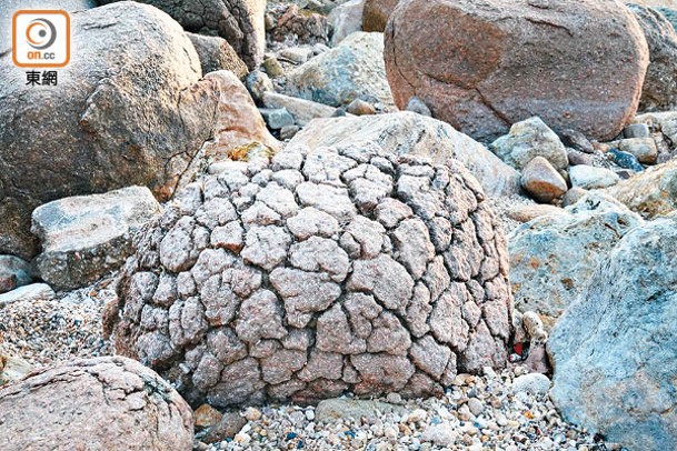 島上的「菠蘿包石」，形狀就如港人最愛的菠蘿包。