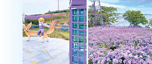 有機會到韓國旅遊的話，記住預留時間到訪紫色浪漫小島。