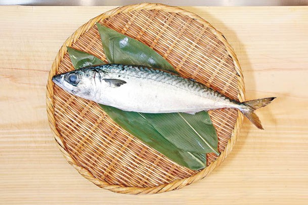 油分高的魚肉如鯖魚，和白松露都匹配。