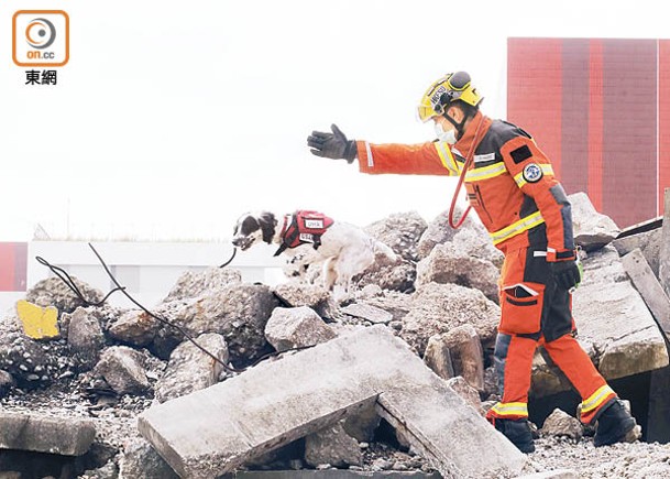 消防搜救犬主要參與攀山拯救及坍塌搜救等事故，憑着敏銳嗅覺及敏捷身手，讓領犬員迅速尋得目標位置，縮短救援時間。