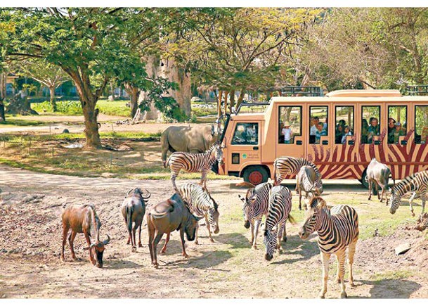 於峇里島野生動物園，可近距離觀賞多種動物的生活。
