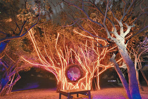 「夢幻樹燈區」結合中央公園自然景觀及投影，利用老樹延伸了一圈無底樹洞。