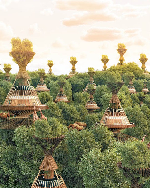 度假村的設計以山毛櫸木打造的樹屋為中心，其設計受猴麵包樹啟發。