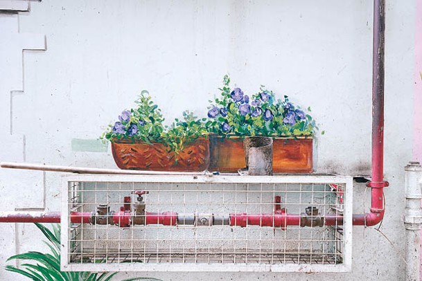 藝術家在難以避開的水管畫上幾個盆栽，驟眼猶如承托着盆栽的露台。