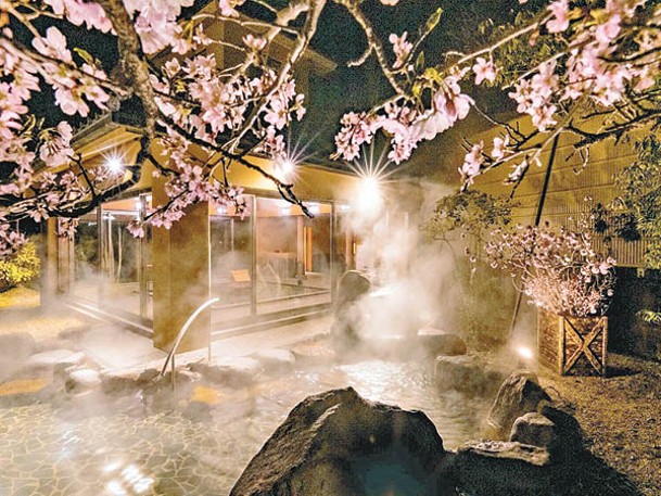 旅館的大浴場於3月26日至4月8日變身成可一邊觀賞櫻花，一邊入浴的花見溫泉。