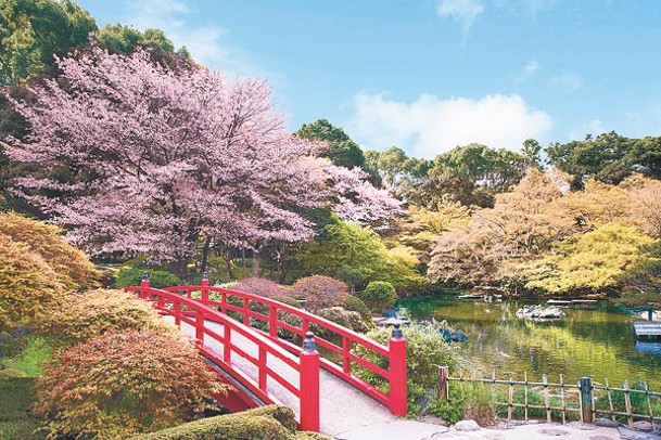 酒店內的日式庭園種植了山櫻、染井吉野櫻、八重櫻等19個品種、共58棵櫻花樹，開花時非常壯觀。