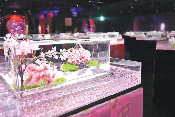 以24個方形魚缸展出不同金魚品種的「新金魚品評」，魚缸中有櫻花點綴。