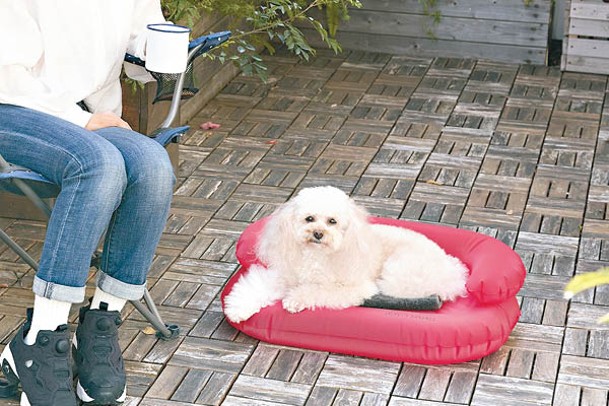 狗狗專用的充氣床，非常適合於露營等戶外活動使用。