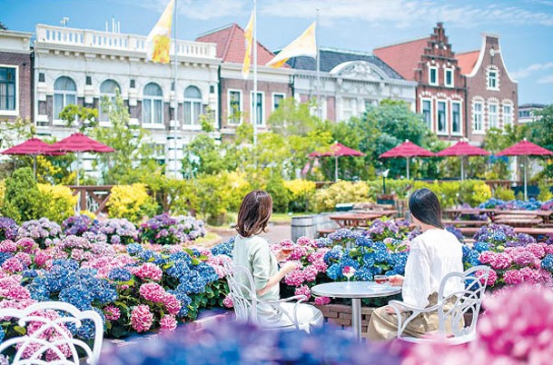 豪斯登堡於5月27日至6月25日舉行一年一度的繡球花祭，坐在「花之廣場」被顏色繽紛的繡球花包圍，感覺震撼。