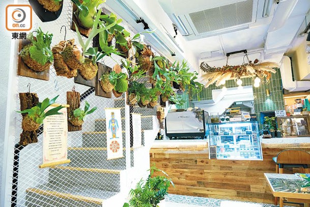 樓梯旁掛滿植物，為整個空間添上生氣，同時營造舒適氛圍。