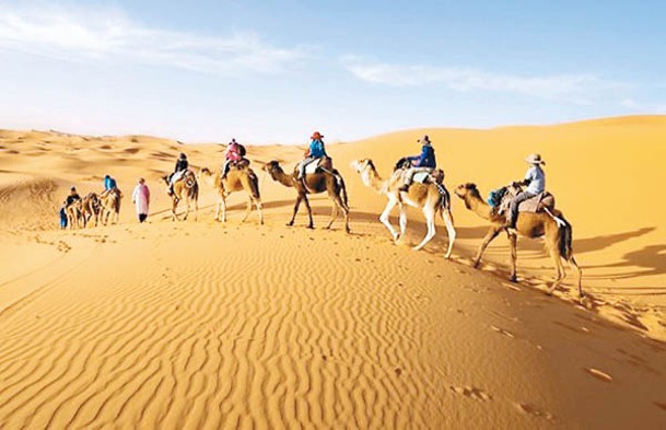 撒哈拉沙漠是非洲大陸最大的荒漠，除了駱駝之外，遊客亦可自費乘坐四驅車進入欣賞日出或日落。