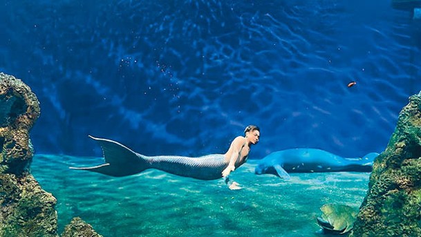 花蓮遠雄海洋公園的全台唯一人魚實境表演2.0版，新增男人魚和海牛同場演出。
