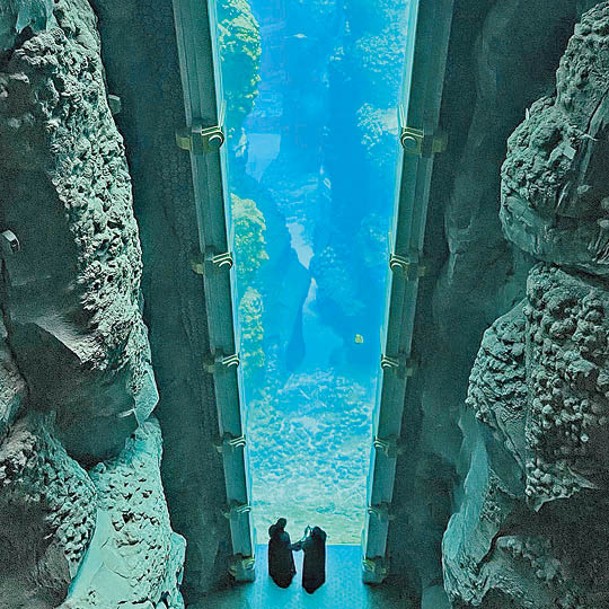 遊客可透過20米高的垂直展示窗Endless Vista感受到海洋世界的震撼魅力。