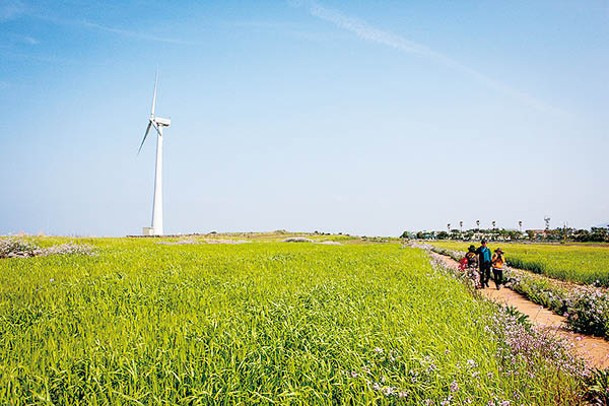 每年4至5月舉辦的青麥節，可看到一整片綠色大麥在風中搖曳。