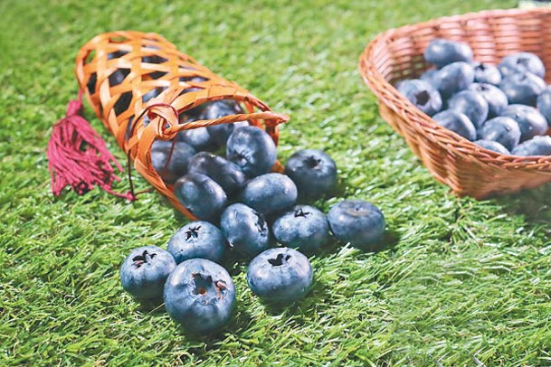 藍莓含抗氧化物「花青素」，有助大腦細胞對抗毒素。