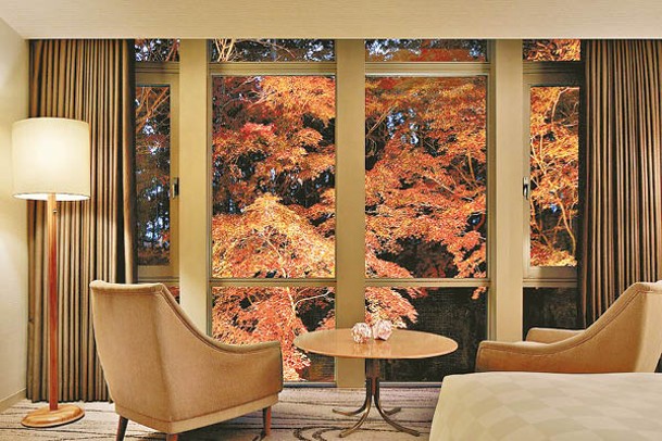 酒店的日式庭園種有楓樹、杜鵑花、山茱萸、野櫻桃樹等，亮燈後呈現不一樣的繽紛景致。