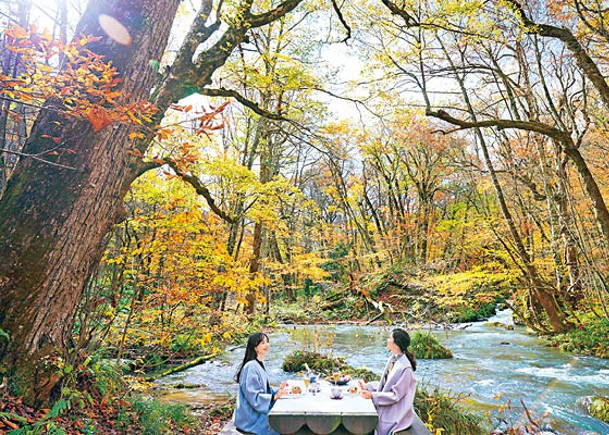 於奧入瀨溪流登場的溪流紅葉午餐，可在溪邊賞秋葉兼開餐。