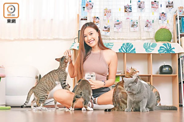 店長Milk指店舖可讓人貓共處，並打算稍後提供領養服務。